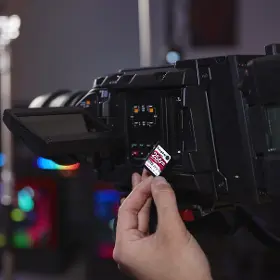 Paměťová karta - Kingston SDR2 256GB - 9