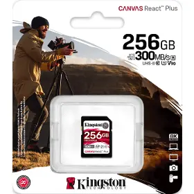 Paměťová karta - Kingston SDR2 256GB - 11