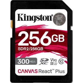 Paměťová karta - Kingston SDR2 256GB - 1