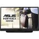 Asus ZenScreen MB166C