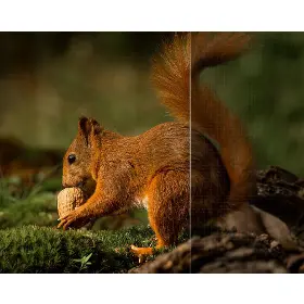 Produktový obrázok