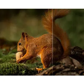 Produktový obrázok