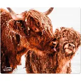 Speed Link Silk Cow