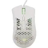 Baracuda Coral White