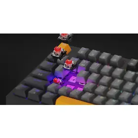 Herní klávesnice - Genesis THOR 230 TKL Red Switch Anchor Grey Positive US - 17