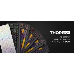 Herní klávesnice - Genesis THOR 230 TKL Red Switch Anchor Grey Positive US - 22