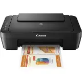 Canon PIXMA MG2556S ink MTF Grey