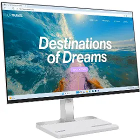 LCD monitor - Lenovo 24" L24D-4C - 2