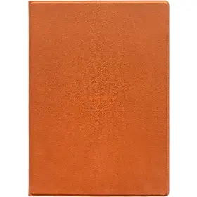 Pouzdro pro čtečky - PocketBook Magnetic Folio Orange pro InkPad One - 1