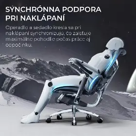 Kancelárska stolička - Sihoo DORO S300 Mesh tmavo sivá - 11