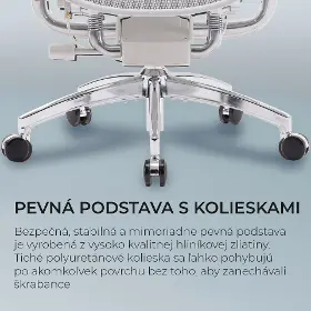 Kancelárska stolička - Sihoo DORO S300 Mesh svetlo sivá - 19