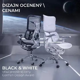 Kancelárska stolička - Sihoo DORO S300 Mesh svetlo sivá - 21