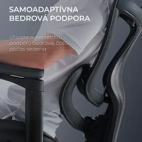 Kancelárska stolička - Sihoo DORO C300 L Mesh čierna - 8