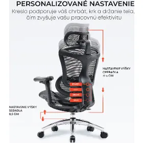 Kancelárska stolička - Sihoo DORO C300 L Mesh čierna - 9