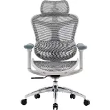 Sihoo DORO C300 L Mesh biela