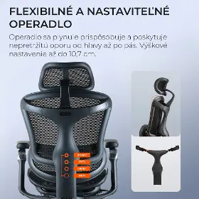 Kancelárska stolička - Sihoo DORO C300 Mesh čierna s opierkou na nohy - 13