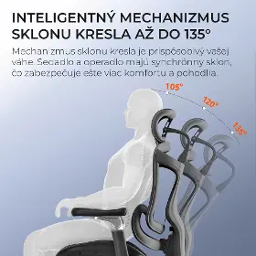 Kancelárska stolička - Sihoo DORO C300 Mesh čierna s opierkou na nohy - 16