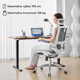Kancelárska stolička - Sihoo M59AS Mesh sivá - 14