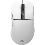 WHITE SHARK GAWAIN White WH0384