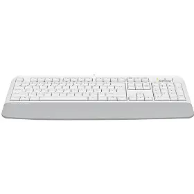 PC klávesnica - A4Tech FSTYLER FK20 CZ/US White - 4