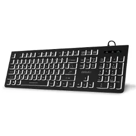 PC klávesnica - Evolveo K1010 CZ/SK Black - 1