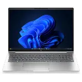 HP ProBook 4 G2a Pike Silver (DX9G0ET)