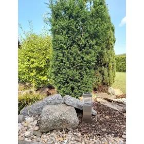 Produktový obrázek