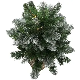 Produktový obrázok