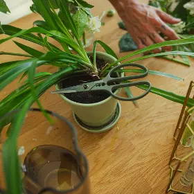 Zahradní nůžky - Fiskars Zahradní nůžky Plant Care - 4