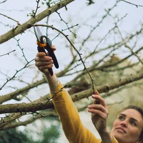 Zahradní nůžky - Fiskars Dvoučepelové P961 - 4