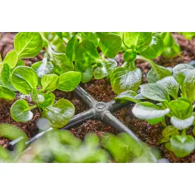 Zavlažovacie redukcie - Gardena MDS Spojka 4cestná 4,6 mm - 6