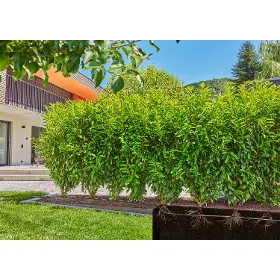 Zavlažovací sada - Gardena MDS Startovní Set pro živé ploty/keře 25 m - 6