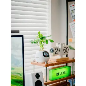 Smart květináč - Plantsio Ivy bílý - 2