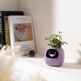 Smart květináč - Plantsio Ivy fialový - 3