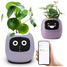 Smart květináč - Plantsio Ivy fialový - 4
