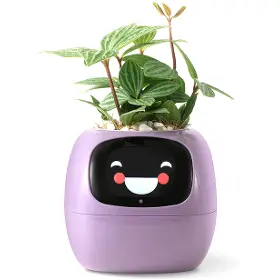 Smart květináč - Plantsio Ivy fialový - 1