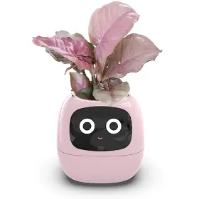 Smart květináč - Plantsio Ivy růžový - 1