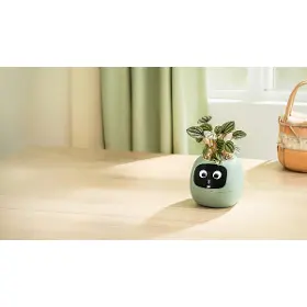 Smart květináč - Plantsio Ivy zelený - 2