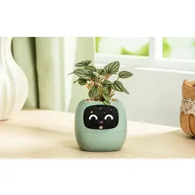 Smart květináč - Plantsio Ivy zelený - 3