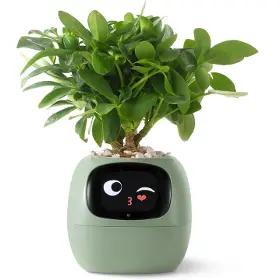 Smart květináč - Plantsio Ivy zelený - 1