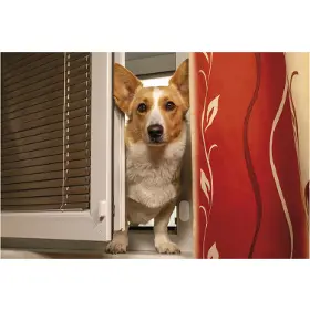 Produktový obrázok