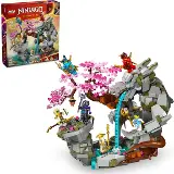 LEGO ® 71819 Dragon Stone Shrine