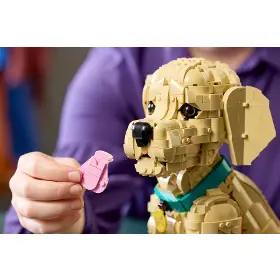 Stavebnice - LEGO ® 11384 Šteňa zlatého retrievera - 10