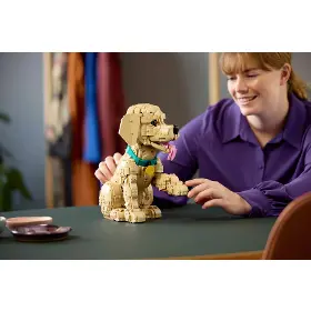 Stavebnice - LEGO ® 11384 Šteňa zlatého retrievera - 14