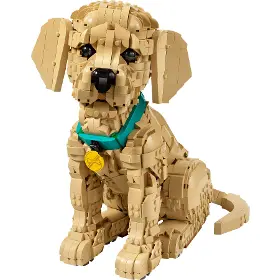 Stavebnice - LEGO ® 11384 Šteňa zlatého retrievera - 2