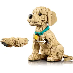 Stavebnice - LEGO ® 11384 Šteňa zlatého retrievera - 7