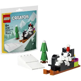 Stavebnice - LEGO ® 30718 Snežné dobrodružstvo s Mačkou Vločkou - 1