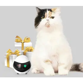 Robot - Enabot EBO SA Robotický spoločník s kamerou - 6