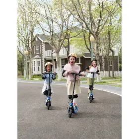 Elektrická kolobežka - Segway eKickScooter Ninebot C2 Lite - 12